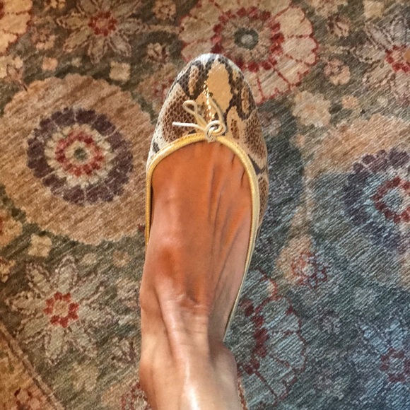 Snake print patent with gold ribbon , ballet flat - Picture 5 of 9